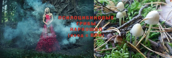 ешки Алексин