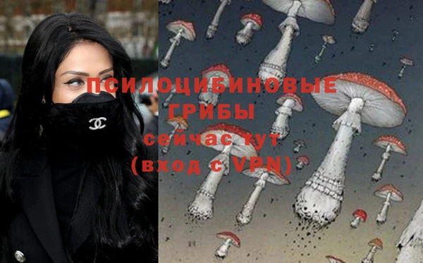 дживик Абинск