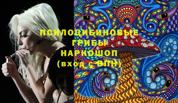 дживик Абинск