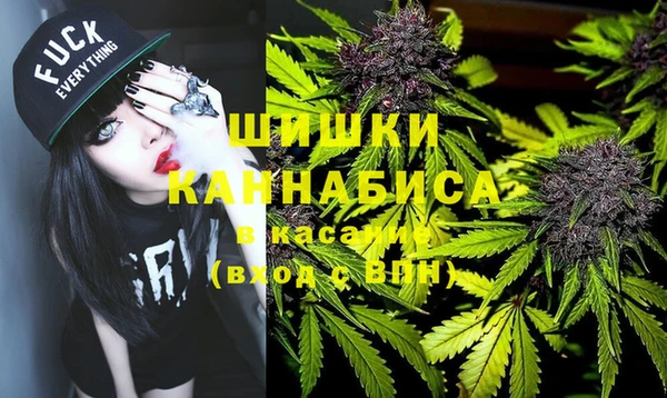 дживик Абинск
