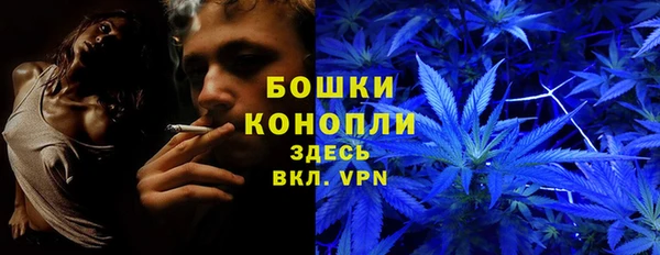 ПСИЛОЦИБИНОВЫЕ ГРИБЫ Алзамай